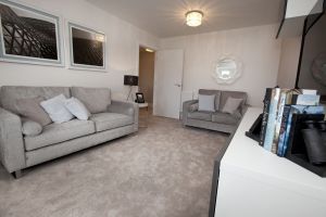 apperley the thirston 21 sm.jpg